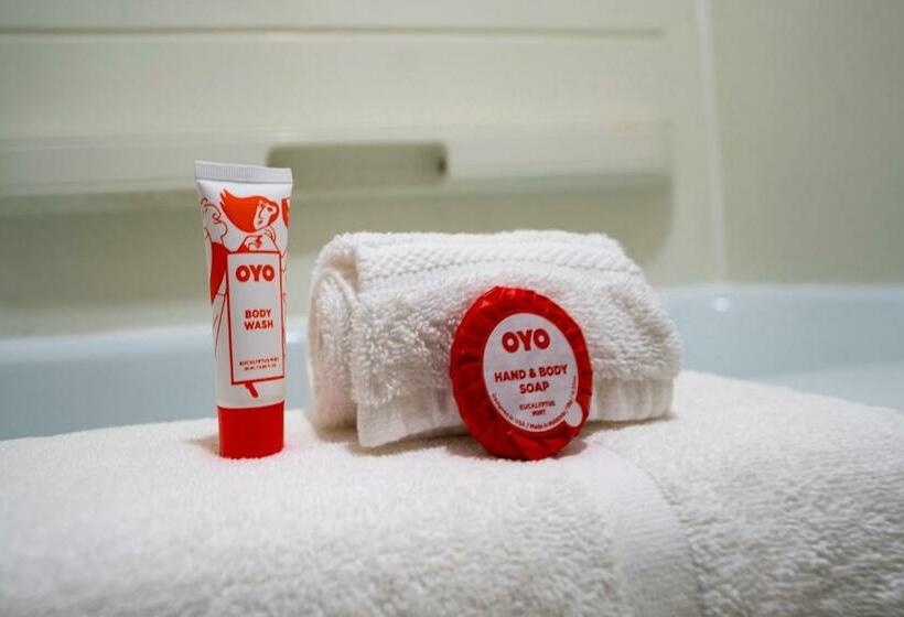 غرفة قياسية سرير كينج, Lamberton Motel