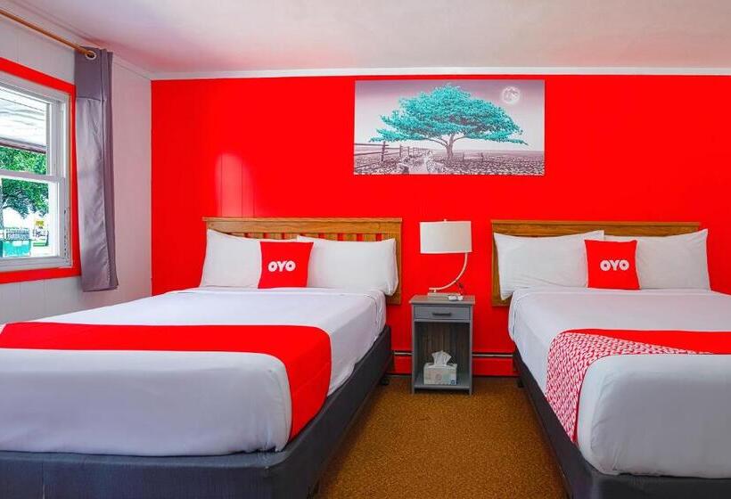 Номер Стандарт, Lamberton Motel