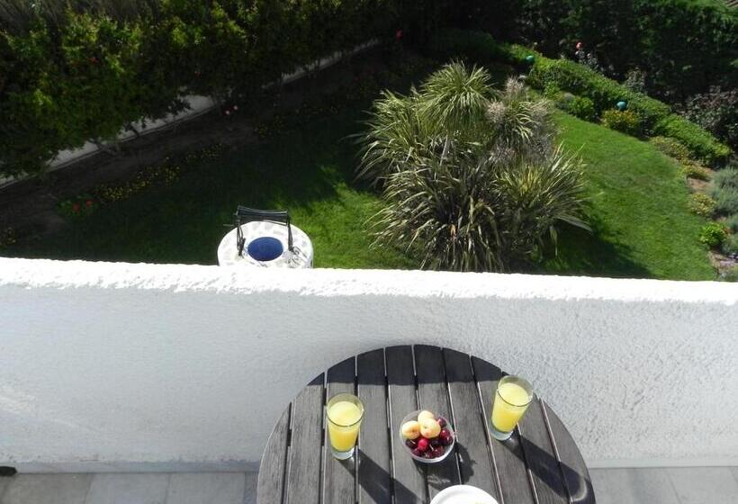 Номер Стандарт, Anatoli