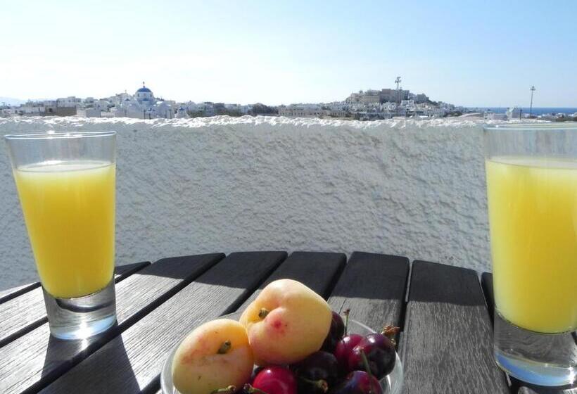 Номер Стандарт, Anatoli