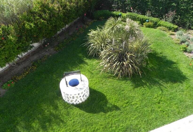 Номер Economy, Anatoli