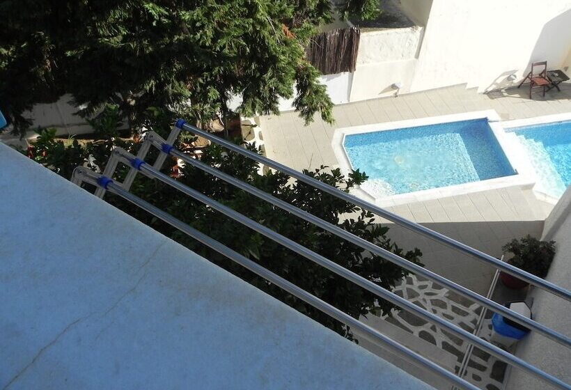 Номер Economy, Anatoli