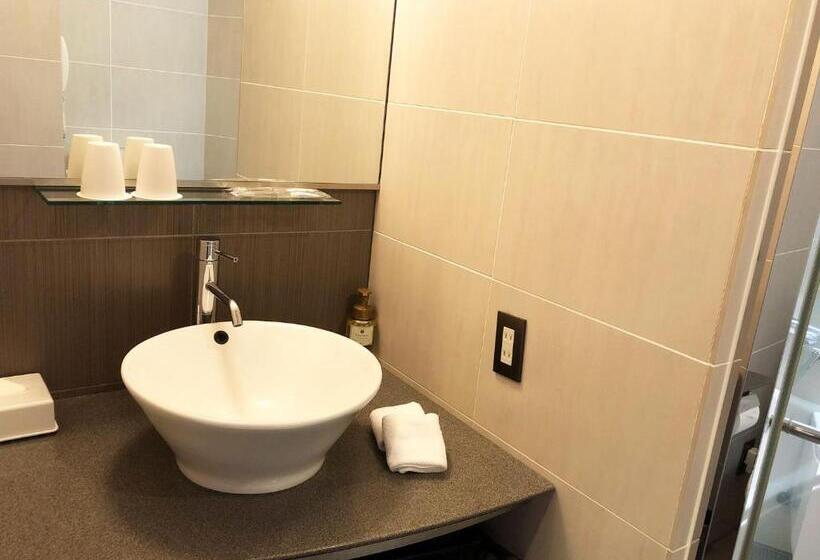 חדר סטנדרט, Citadines Central Shinjuku Tokyo