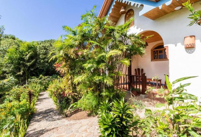 디럭스 룸, Claro De Luna