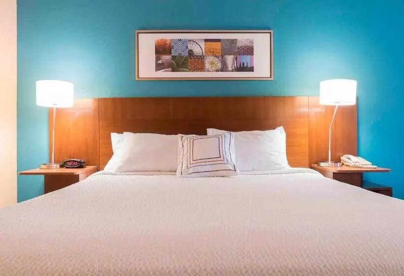 اتاق استاندارد با تخت بزرگ, Comfort Inn & Suites Green Bay Stadium Area