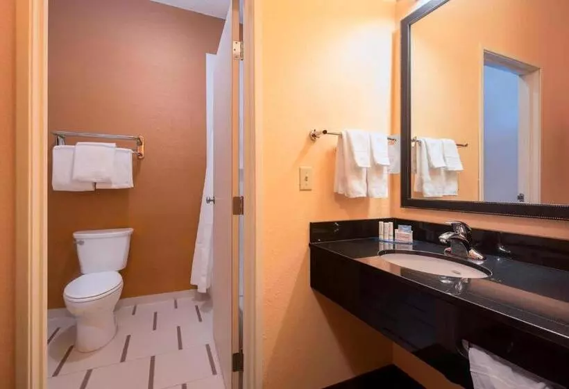 اتاق دلوکس مخصوص معلولین, Comfort Inn & Suites Green Bay Stadium Area