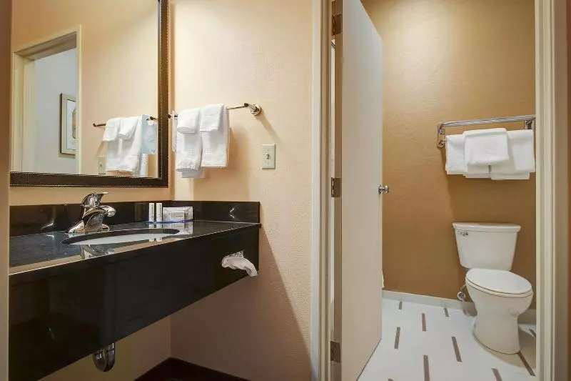 سوئیت با تخت بزرگ, Comfort Inn & Suites Green Bay Stadium Area