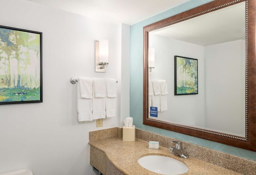 סוויטה, Hilton Garden Inn Lafayette/cajundome