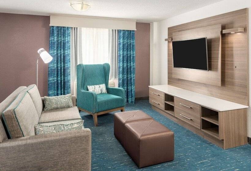 سوییت, Hilton Garden Inn Lafayette/cajundome