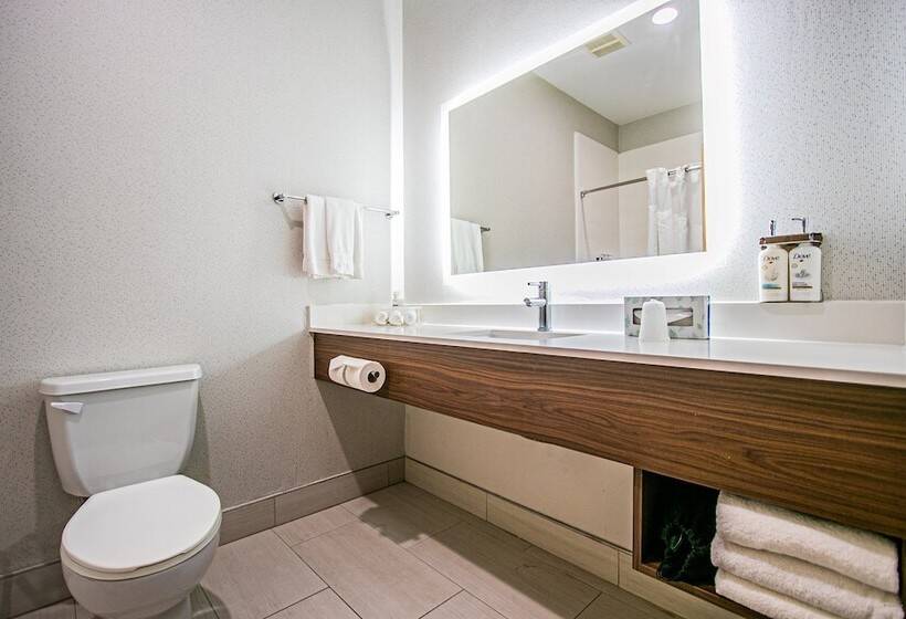 Люкс, Holiday Inn Express Hotel And Suites South Padre Island, An Ihg