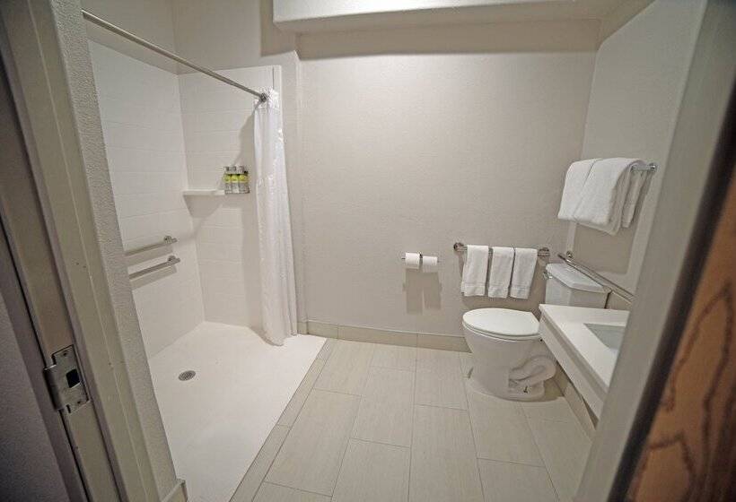 Suíte para Deficientes Físicos, Holiday Inn Express Hotel And Suites South Padre Island, An Ihg