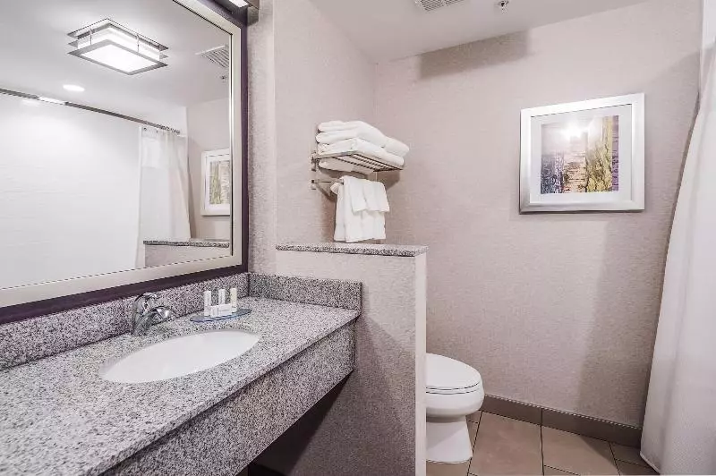 اتاق استاندارد با تخت بزرگ, Holiday Inn Express San Clemente N – Beach Area, An Ihg
