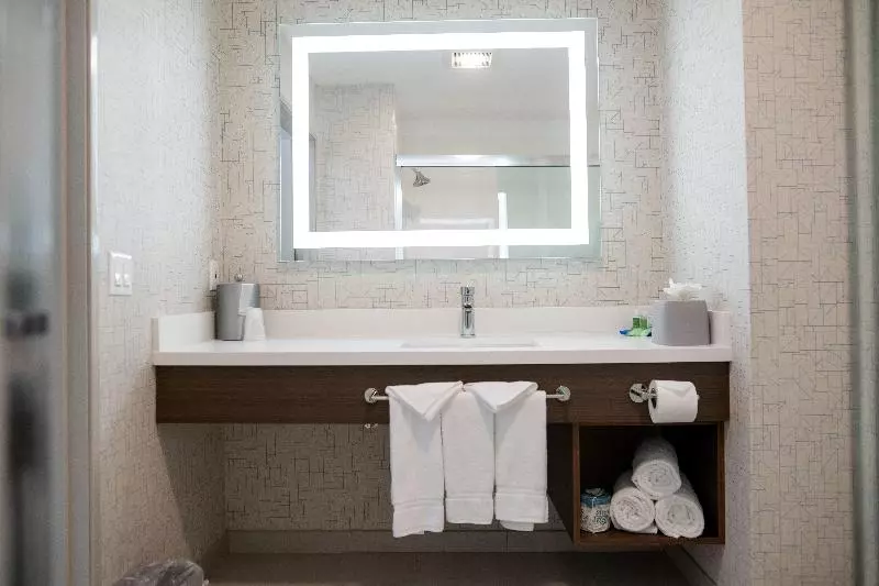 اتاق اجرایی با تخت بزرگ, Holiday Inn Express San Clemente N – Beach Area, An Ihg