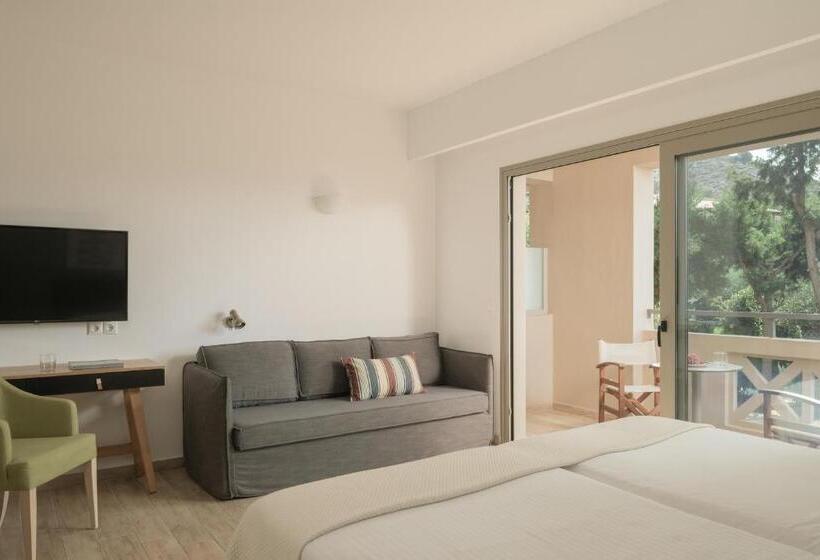 غرفة قياسية ذات إطلالة, Paralos Irini Mare