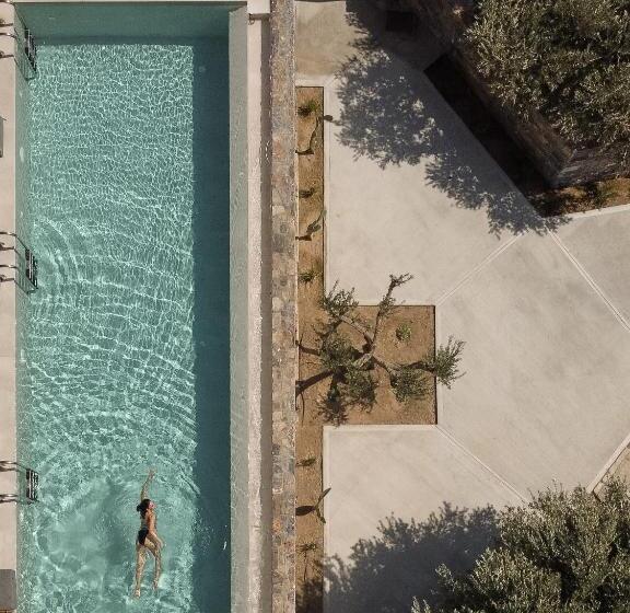 جناح جونيور مطل على الجبل, Paralos Irini Mare