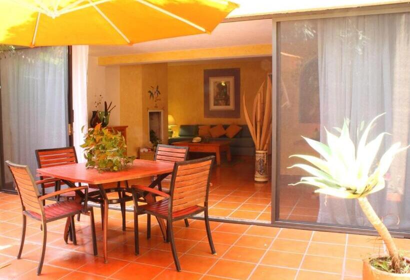 小型套房, Racquet Cuernavaca