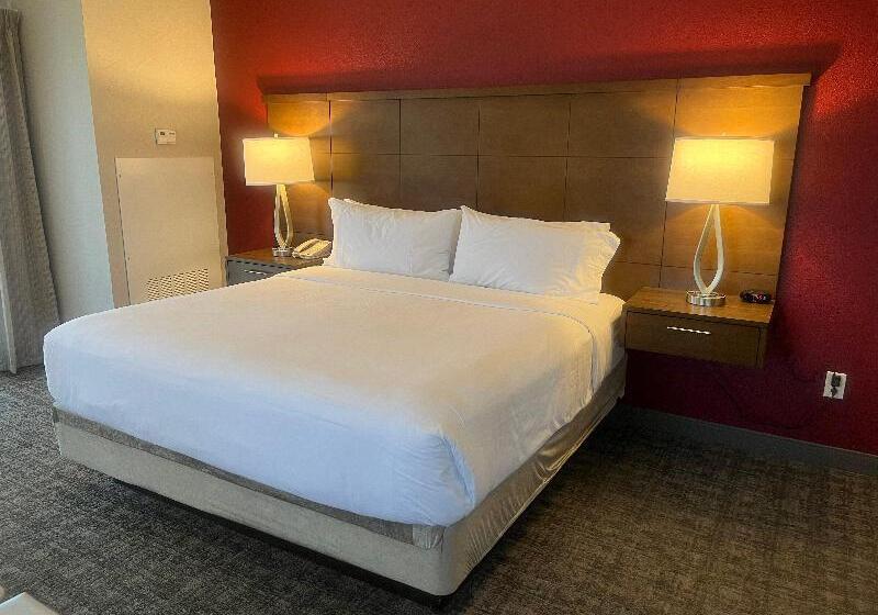 带大床的套房, Staybridge Suites San Antonio Downtown Convention Center, An Ihg