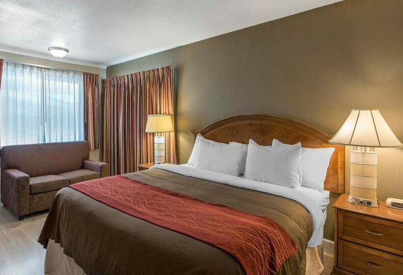 غرفة قياسية, Abode