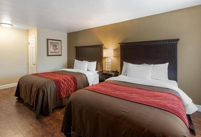 غرفه قياسيه سريرين مزدوجين, Abode