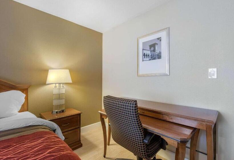 غرفة قياسية سرير كينج, Abode