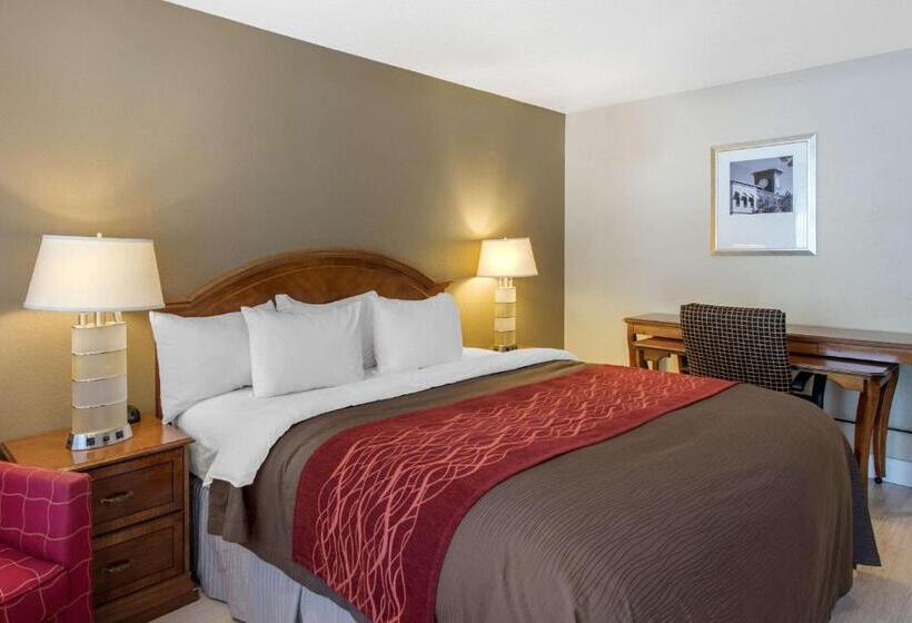 غرفة قياسية سرير كينج, Abode