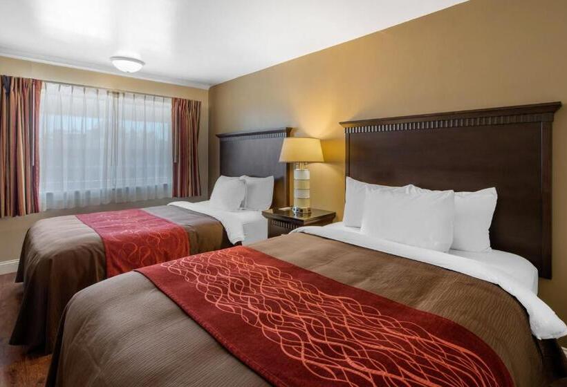 غرفة قياسية, Abode