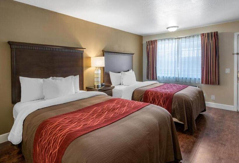 غرفة قياسية, Abode