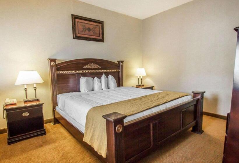 غرفة قياسية, Americas Best Value Inn Torrington Ct