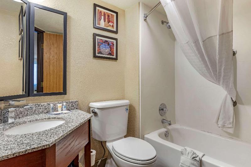 스탠다드 룸 킹사이즈 침대, Comfort Inn & Suites Albuquerque Downtown