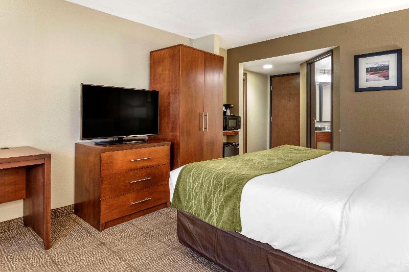 스탠다드 룸 킹사이즈 침대, Comfort Inn & Suites Albuquerque Downtown