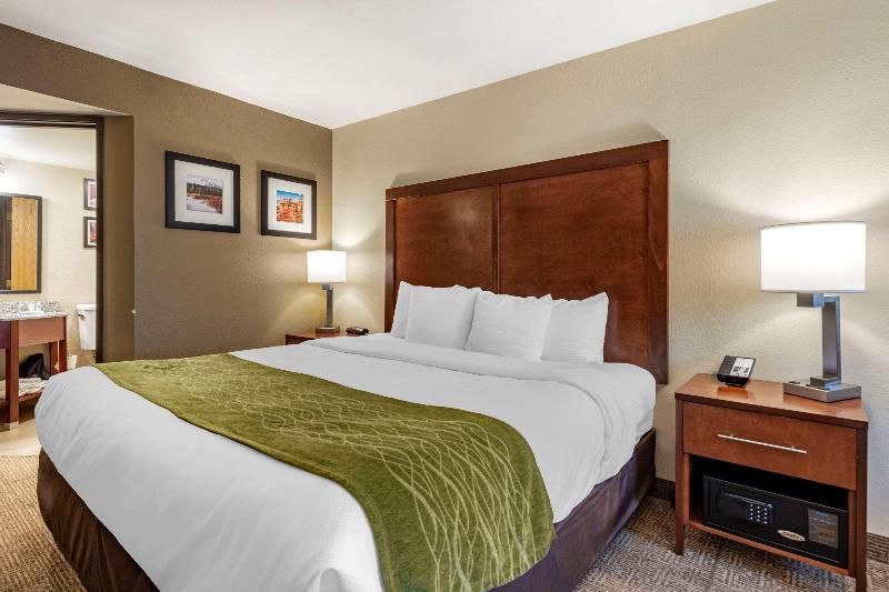 Стандартный Номер Кровать Кинг, Comfort Inn & Suites Albuquerque Downtown