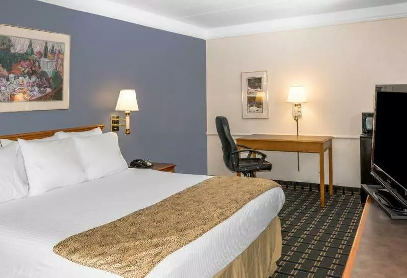 身障者適用キングサイズベッドルーム, Days Inn By Wyndham Houston