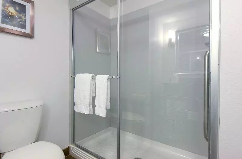 اتاق استاندارد, Holiday Inn Express Hotel & Suites Carlsbad Beach, An Ihg
