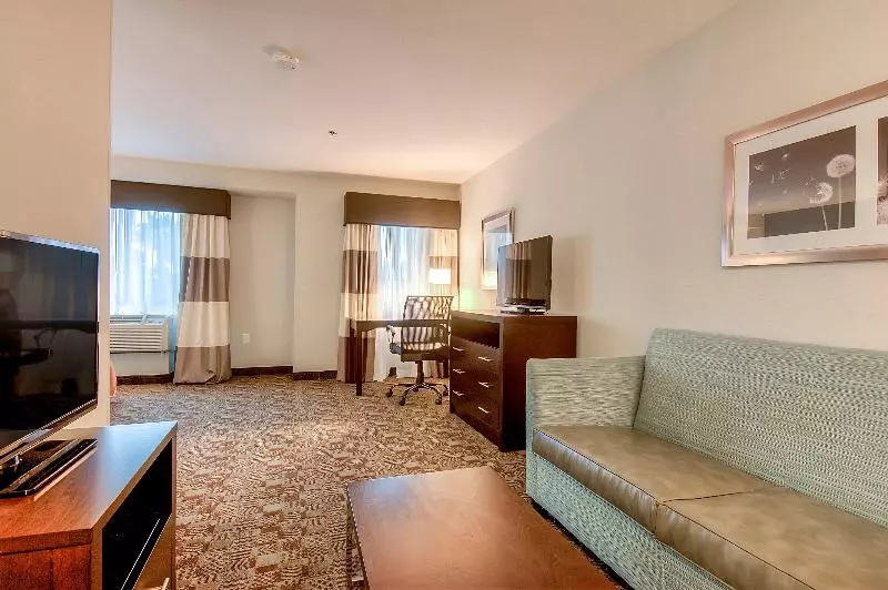 سوئیت اجرایی با تخت کینگ, Holiday Inn Express Hotel & Suites Carlsbad Beach, An Ihg