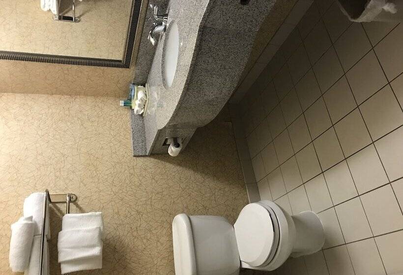 スタンダードルーム, Holiday Inn Express Syracuse Fairgrounds, An Ihg