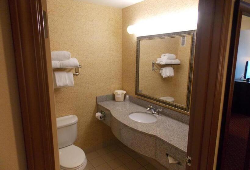 キングサイズベッドのスタンダードルーム, Holiday Inn Express Syracuse Fairgrounds, An Ihg