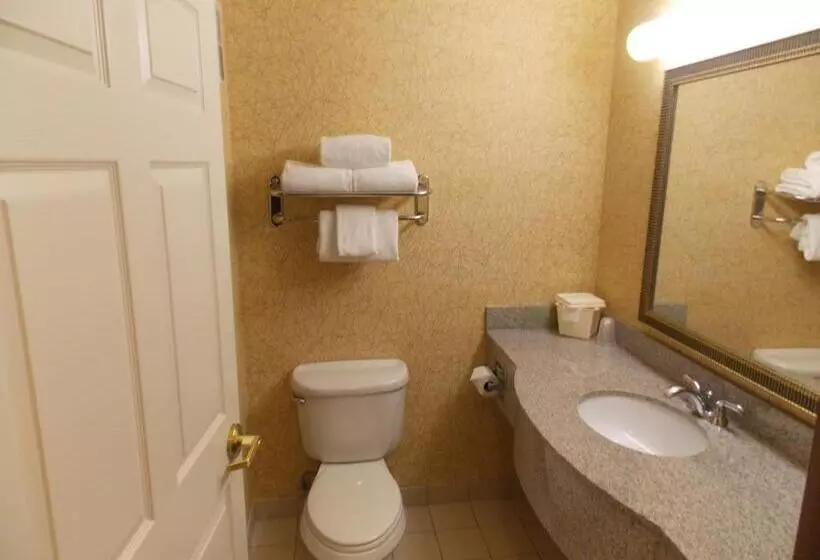 سوییت, Holiday Inn Express Syracuse Fairgrounds, An Ihg