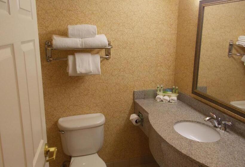 身障者適用スタンダードルーム, Holiday Inn Express Syracuse Fairgrounds, An Ihg