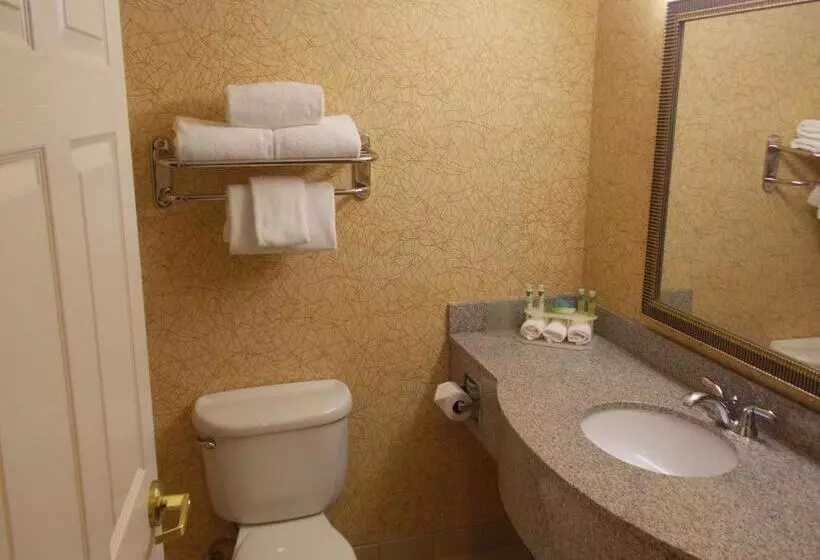 اتاق استاندارد برای معلولان, Holiday Inn Express Syracuse Fairgrounds, An Ihg