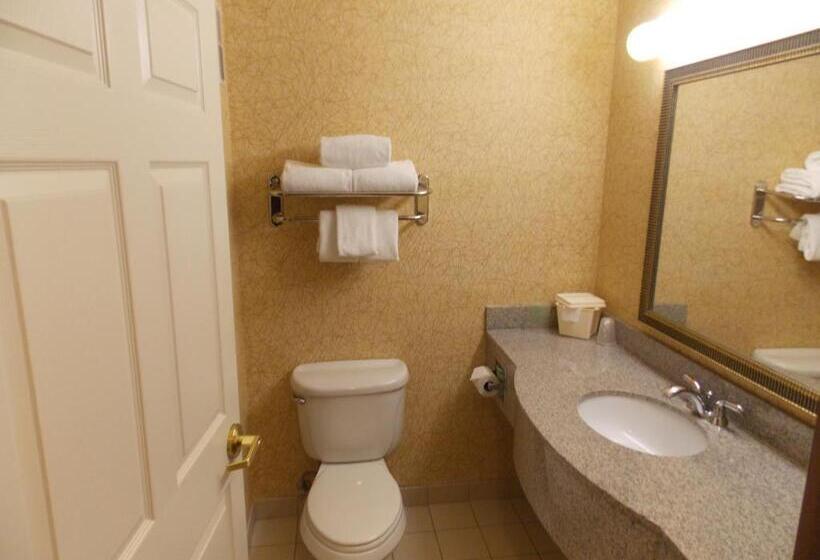 キングサイズベッドのスタンダードルーム, Holiday Inn Express Syracuse Fairgrounds, An Ihg