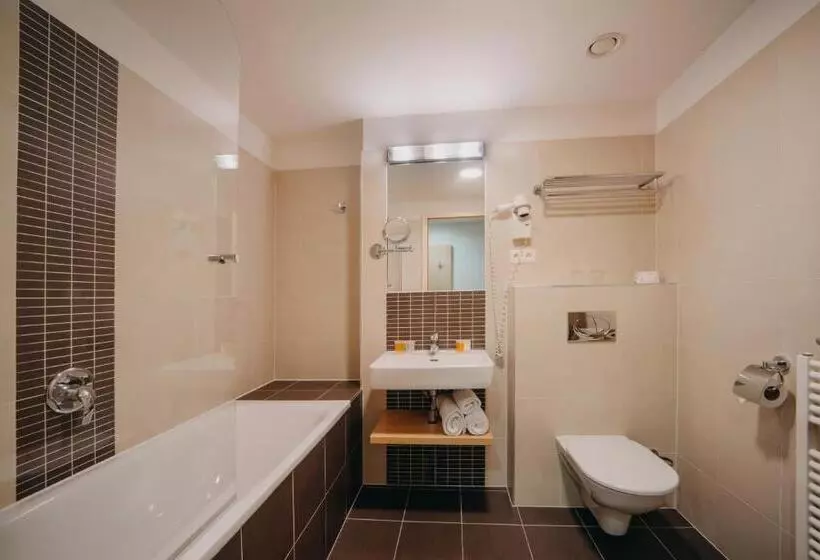 Standard Kolmen Hengen Huone, Iris Hotel Eden Czech Leading Hotels