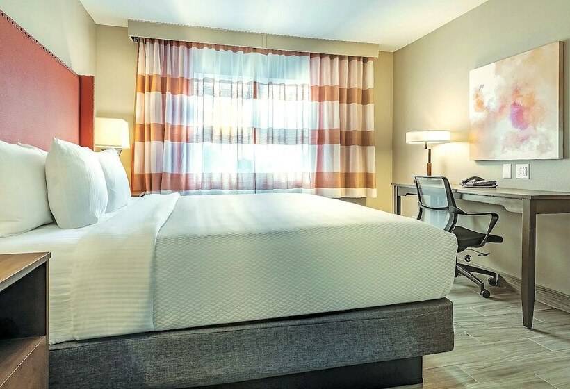 Номер Executive, La Quinta By Wyndham Seattle Federal Way