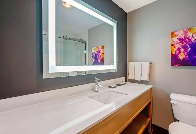 身障者適用スタンダードルーム, La Quinta By Wyndham Seattle Federal Way