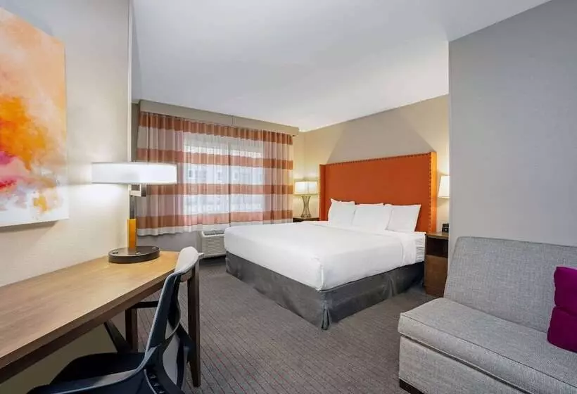 身障者適用スタンダードルーム, La Quinta By Wyndham Seattle Federal Way