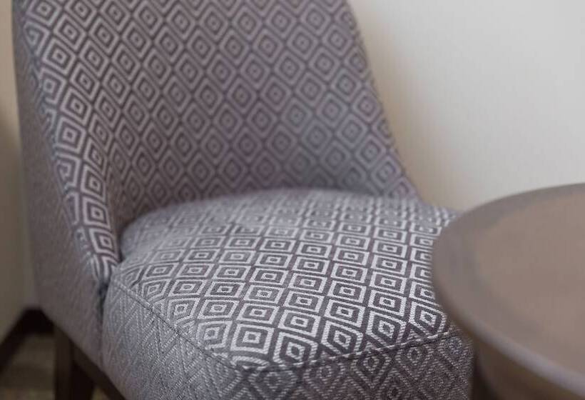 اتاق سوپریور, Mystays Kyotoshijo