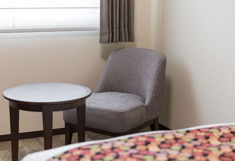 اتاق سوپریور, Mystays Kyotoshijo