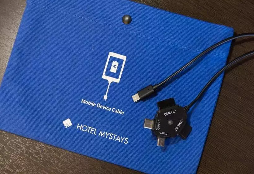 اتاق لوکس سه تخته با چشم‌انداز, Mystays Kyotoshijo