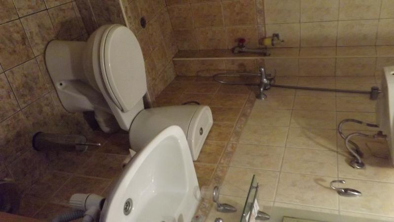 コンフォートルーム, Palitra