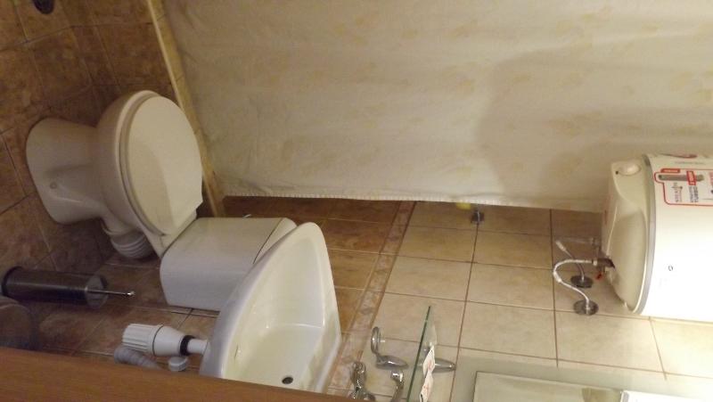 コンフォートルーム, Palitra