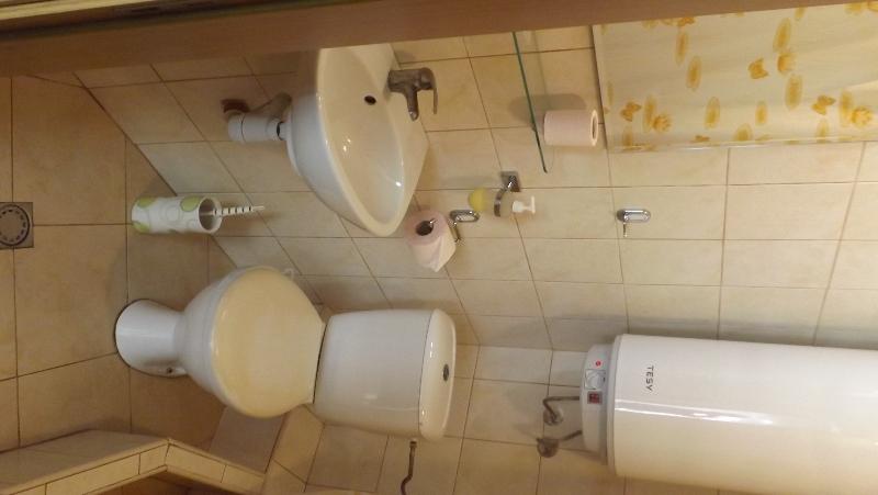 スタンダードルーム, Palitra